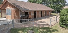Wooden stables with horses in an enclosure